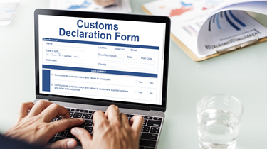 How can I prepare to use the Customs Declaration Service?