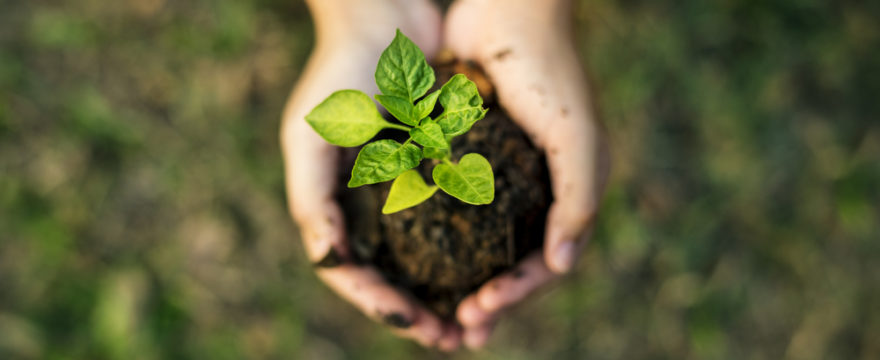 More investors are choosing sustainability-focused firms
