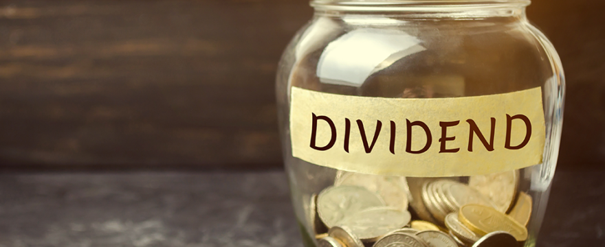 Should I take a salary or dividends as a small business owner?